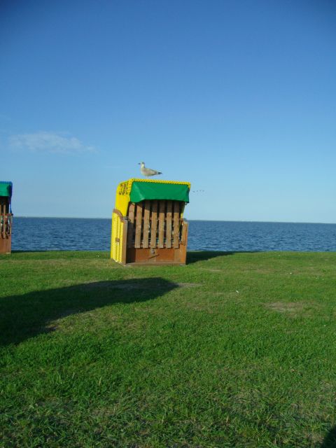 Strandkorb mit Möwe