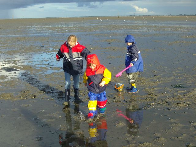 Im Wattenmeer